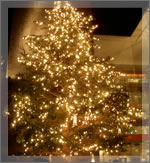 MIKIMOTO前の巨大ツリー